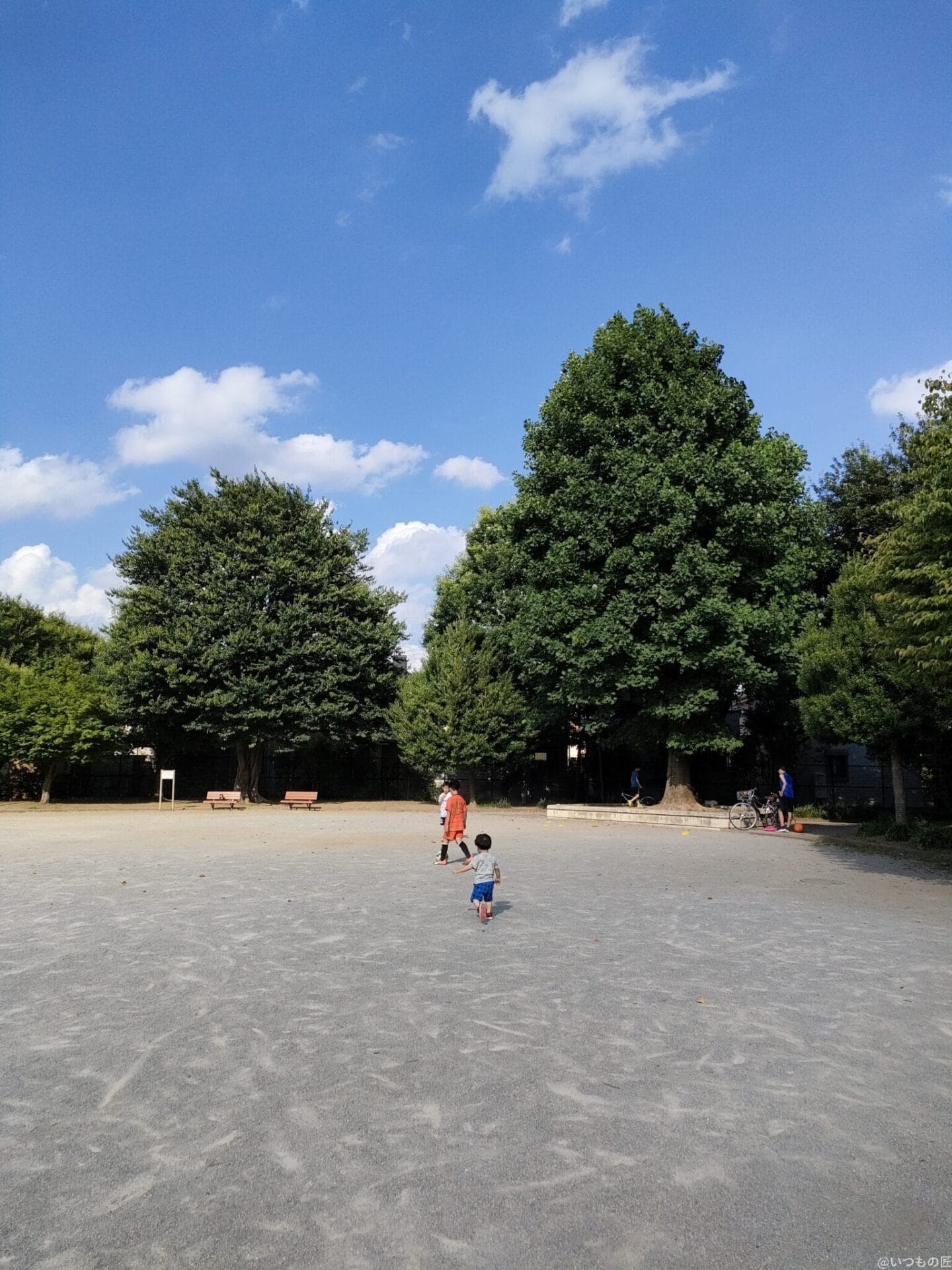 oppo reno5a リアカメラ作例 | ガジェットレビューの匠 公園