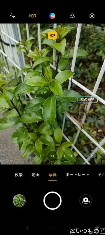 oppo-reno5a-camera-ai | ガジェットレビューの匠 カメラのAI撮影モードで、緑の植物を判定して綺麗な画像になっている。