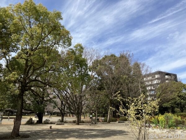 iphone-se-3-wide-lens-photo3 | ガジェットレビューの匠 iPhone SE3の広角レンズ撮影その3。何気ない公園の風景ですが、空とのコントラストが良い感じです。