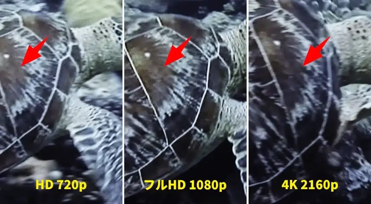 解像度別のシーン比較をすると、あきらかに画像の粗さが分かります。特に甲羅の模様部分が分かりやすい