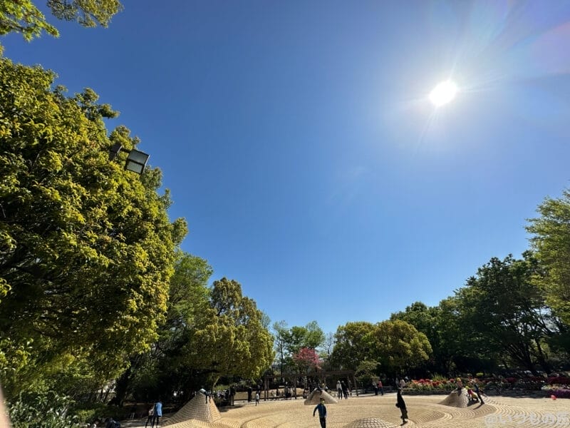 公園と青空