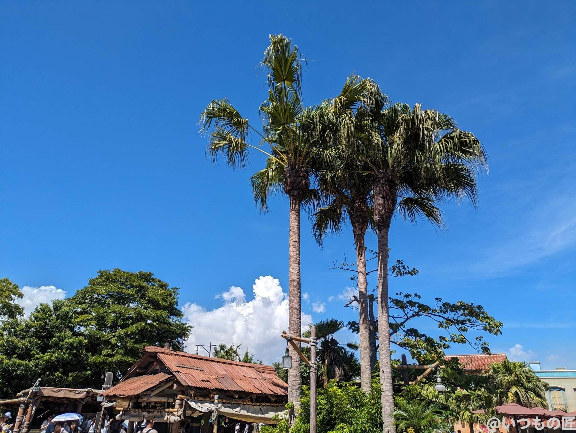 google-pixel-7a-photo-landscape-01 | ガジェットレビューの匠 Google Pixel 7aの風景作例1