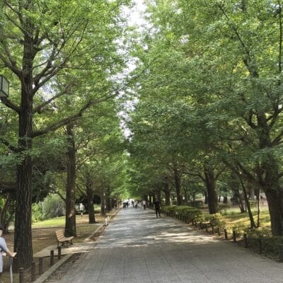 opporeno9a-photo-3 | ガジェットレビューの匠 OPPO Reno9 A 風景写真の作例3