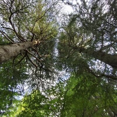 OPPO Reno9 A 風景写真の作例５
