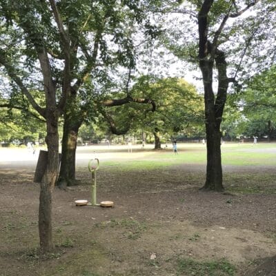 opporeno9a-photo-6 | ガジェットレビューの匠 OPPO Reno9 A 風景写真の作例6