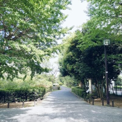 opporeno9a-photo-highreso1 | ガジェットレビューの匠 OPPO Reno9 A 高解像度写真の切り抜き前