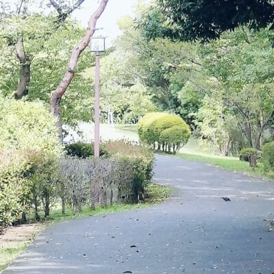 opporeno9a-photo-highreso2 | ガジェットレビューの匠 OPPO Reno9 A 高解像度写真の切り抜き後