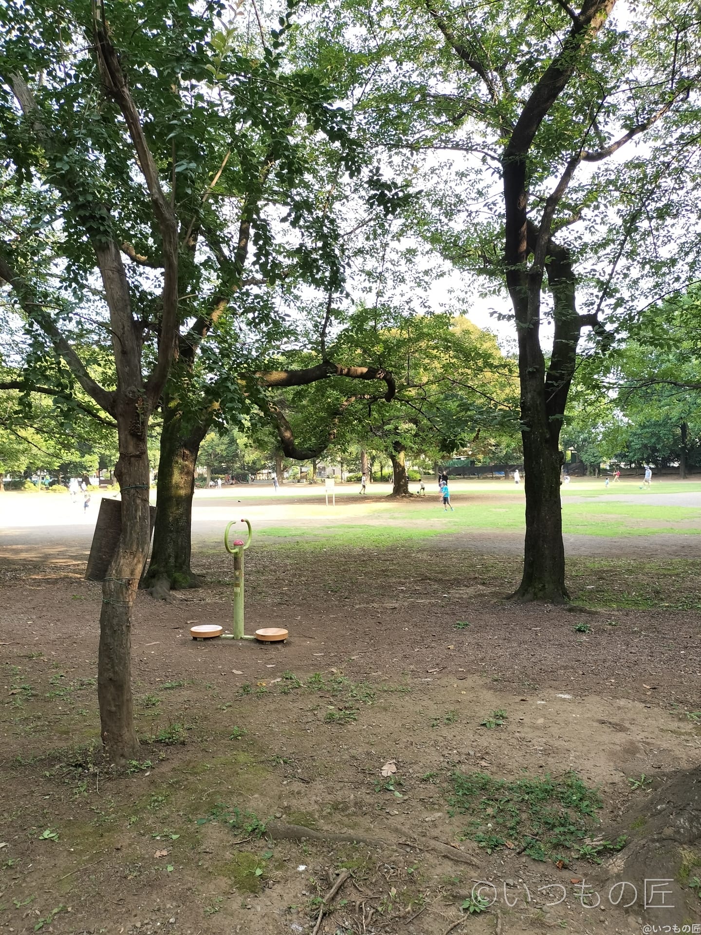 opporeno9a-photo-digizoom-1 | ガジェットレビューの匠 OPPO Reno9 A デジタルズーム1.0倍の作例