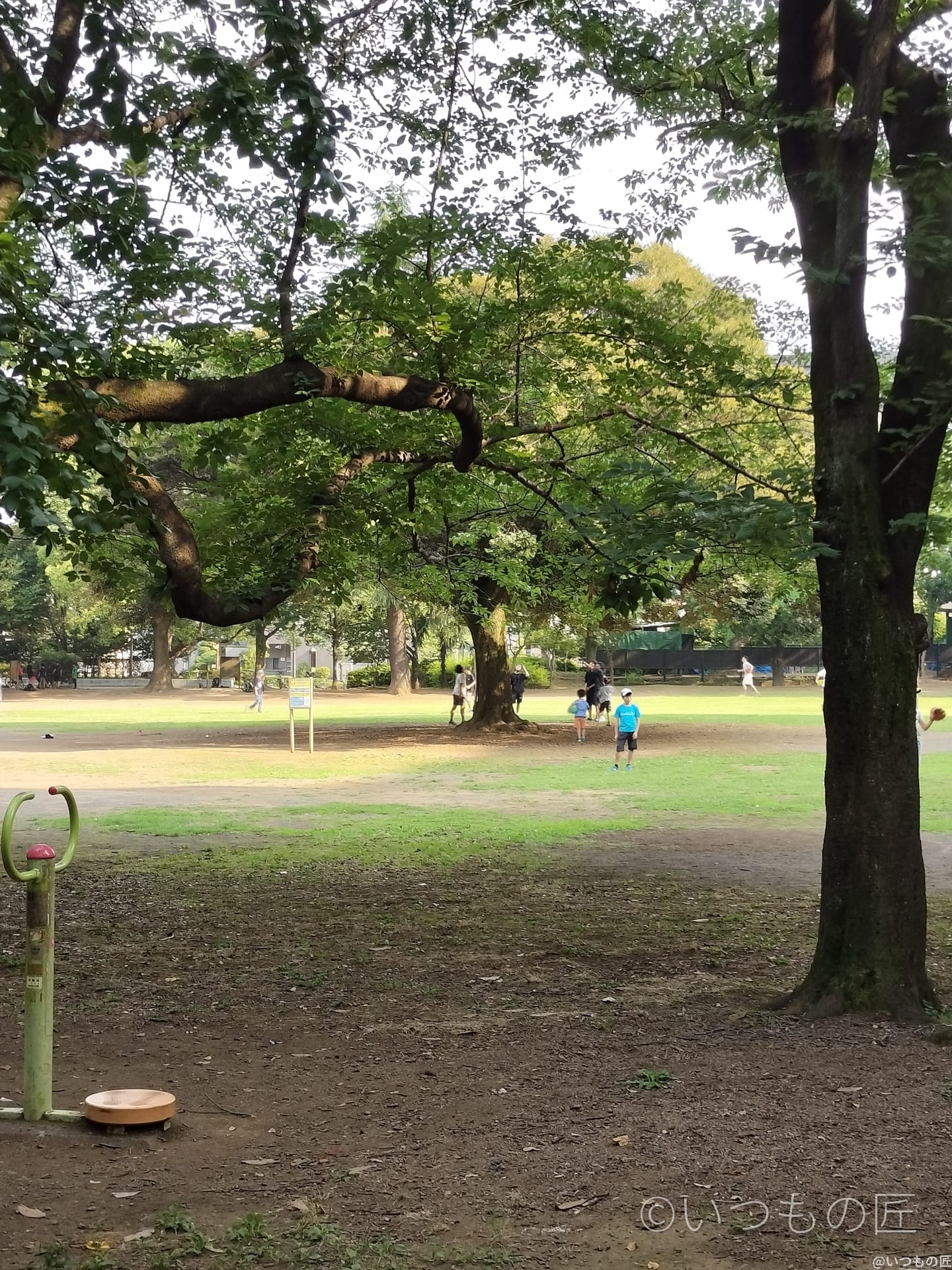 opporeno9a-photo-digizoom-2 | ガジェットレビューの匠 OPPO Reno9 A デジタルズーム2.0倍の作例