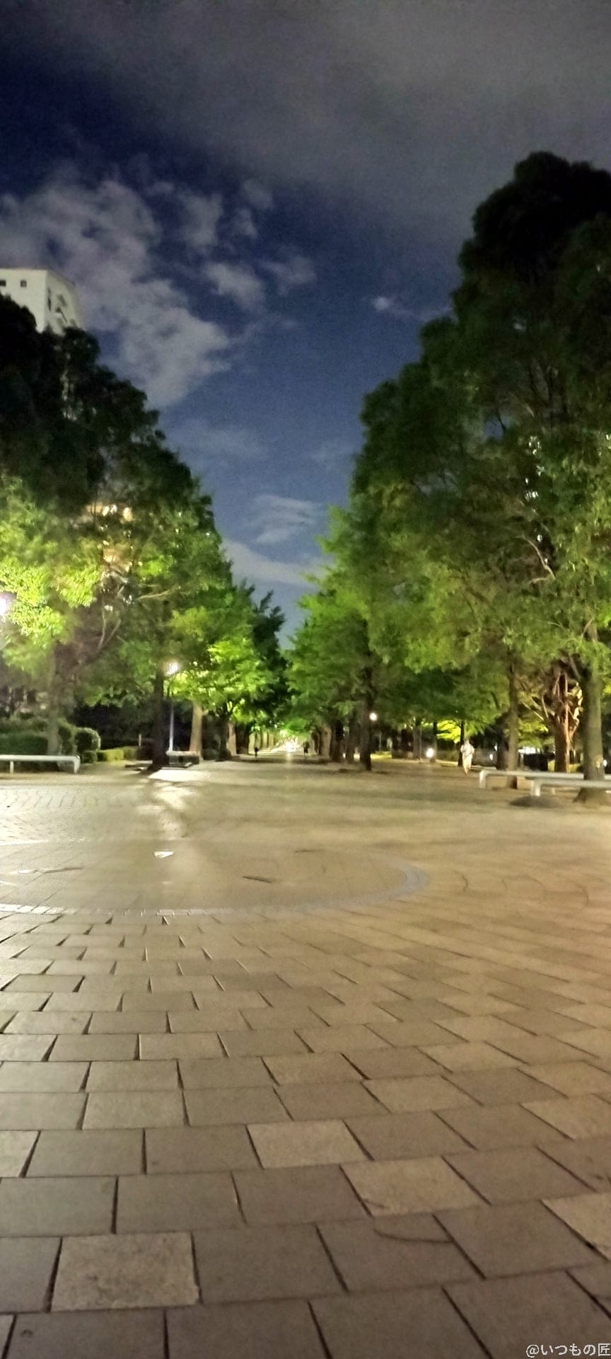 OPPO Reno9 A 夜景モード 作例２