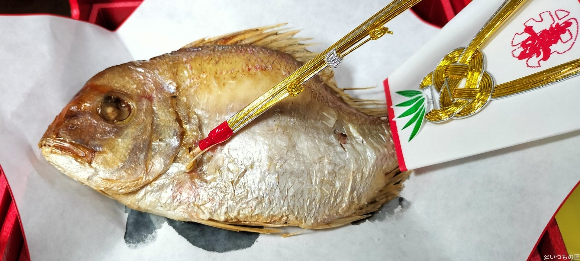 oppo-reno9a-photo-macro-3 | ガジェットレビューの匠 OPPO Reno9 Aマクロ撮影 作例13