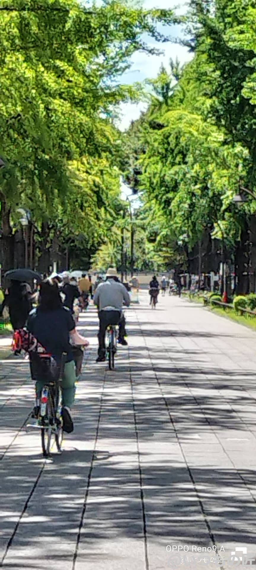 oppo-reno9a-photo-samples-1 | ガジェットレビューの匠 OPPO Reno9 A広角カメラでの倍率6倍撮影