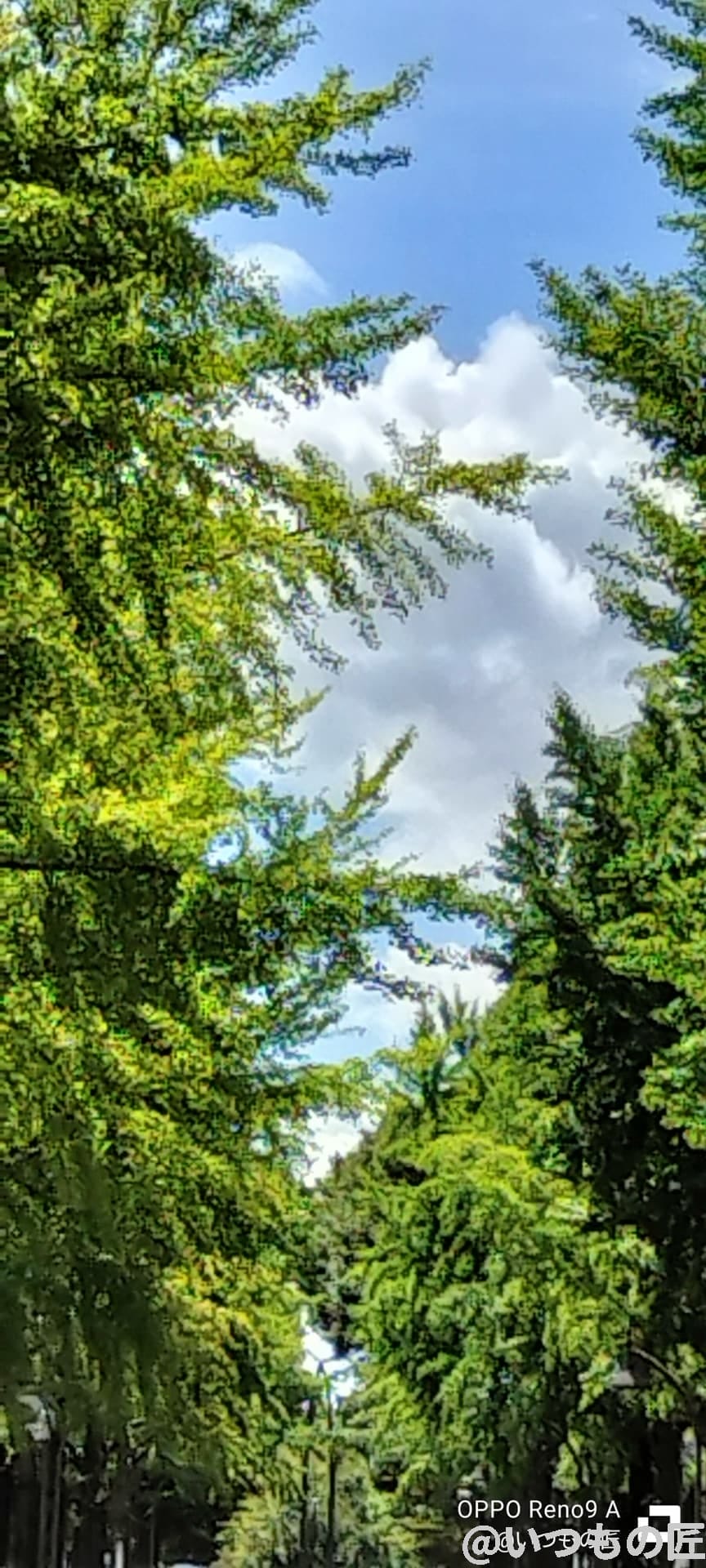 oppo-reno9a-photo-samples-2 | ガジェットレビューの匠 OPPO Reno9 A広角カメラでの倍率3倍撮影