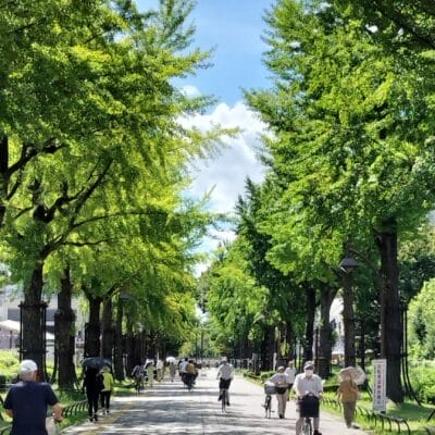 oppo-reno9a-photo-samples-3 | ガジェットレビューの匠 OPPO Reno9 A 風景写真の作例14