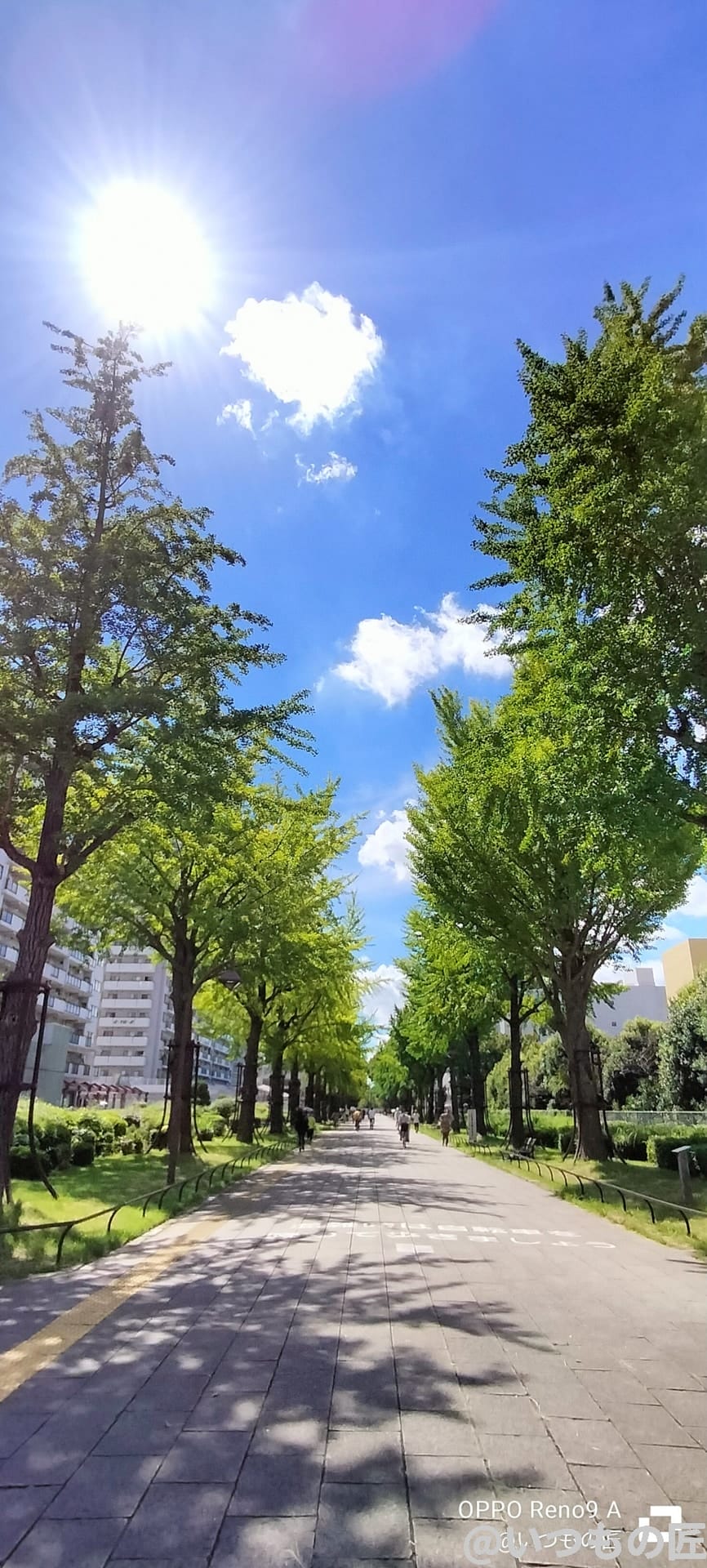 oppo-reno9a-photo-samples-4 | ガジェットレビューの匠 OPPO Reno9 A広角カメラでの倍率1倍撮影