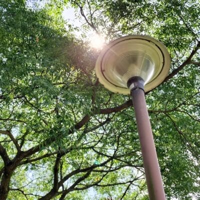 oppo-reno9a-photo-samples-6 | ガジェットレビューの匠 OPPO Reno9 A 風景写真の作例12