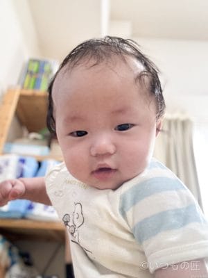 iphone15pro-portrait-1 | ガジェットレビューの匠 iPhone15 Proインカメラ写真の作例1(室内・手持ち)