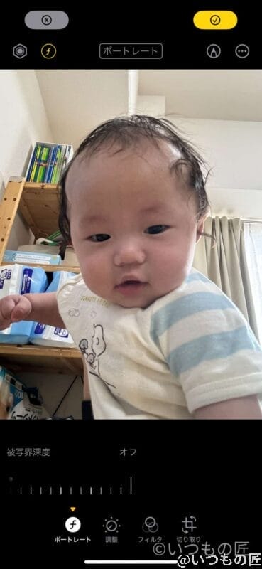 iphone15pro-portrait-boke-1 | ガジェットレビューの匠 背景ボケなし