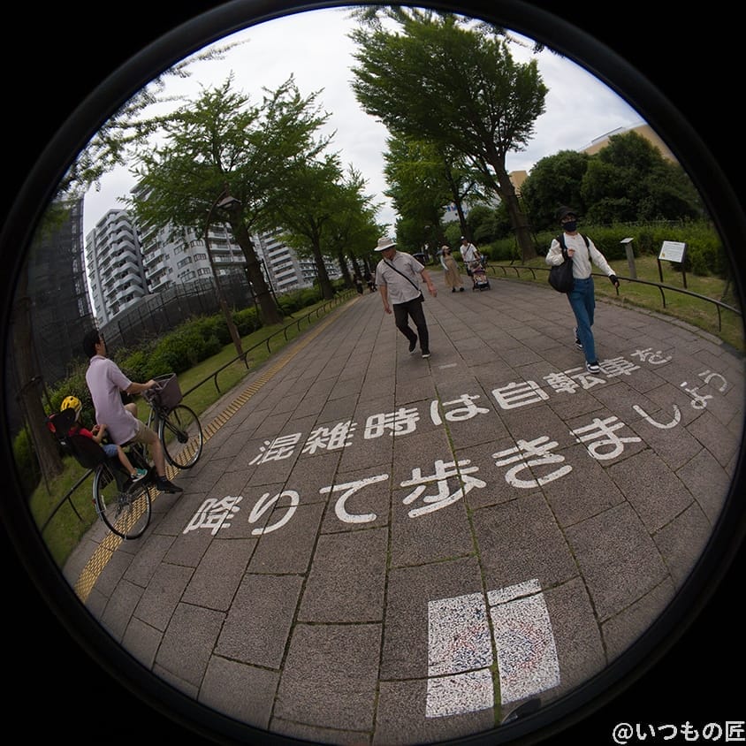 insta360 go3 レビュー 魚眼レンズ撮影1 | ガジェットレビューの匠 Insta360 GO3 レビュー 魚眼レンズ撮影1