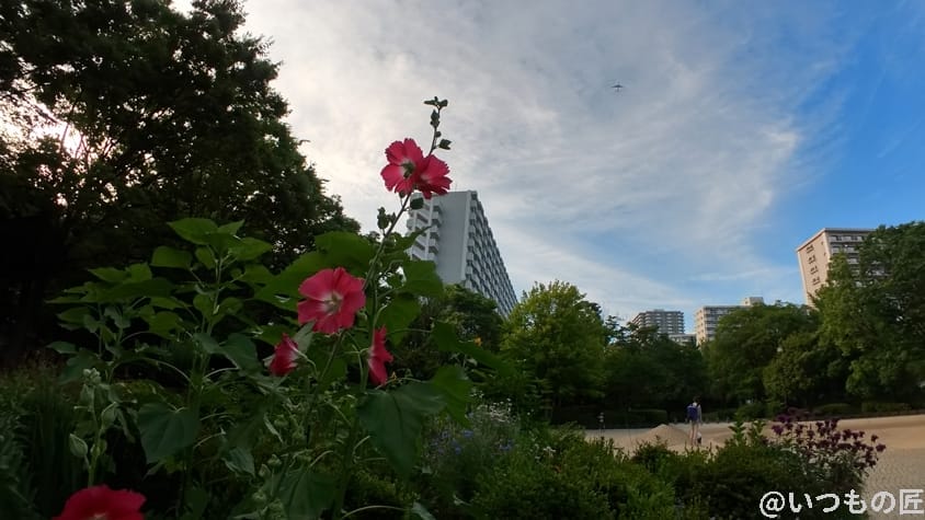 insta360 go3 レビュー 風景写真作例1 | ガジェットレビューの匠 Insta360 GO3 レビュー 風景写真作例1