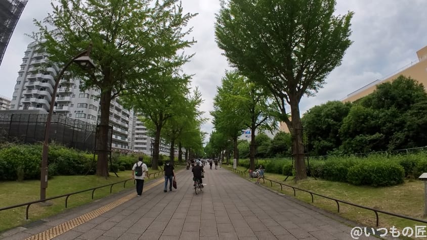 insta360 go3 レビュー 風景写真作例3 | ガジェットレビューの匠 Insta360 GO3 レビュー 風景写真作例3