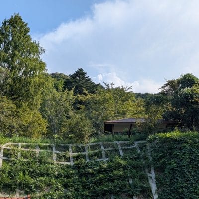 Google Pixel 9 Pro XL カメラ
Google Pixel 9 Pro XL でHDR撮影した写真