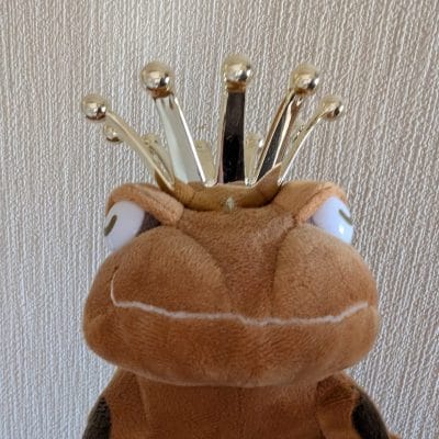 Google Pixel 9 Pro XL カメラ
Google Pixel 9 Pro XL のインカメラで撮影した写真