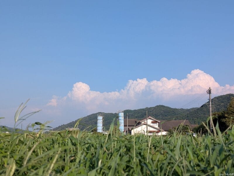 google pixel 9 pro xlのカメラで撮影した風景写真 | ガジェットレビューの匠 Google Pixel 9 Pro XL カメラ Google Pixel 9 Pro XLで撮影した風景写真
