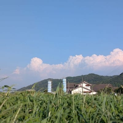 Google Pixel 9 Pro XL カメラ
Google Pixel 9 Pro XLで撮影した風景写真
