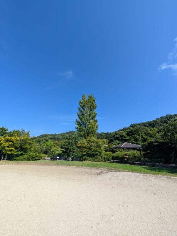 google pixel 9 pro xlのカメラでズーム撮影した風景写真 | ガジェットレビューの匠 Google Pixel 9 Pro XL カメラ Google Pixel 9 Pro XLでズーム撮影した風景写真