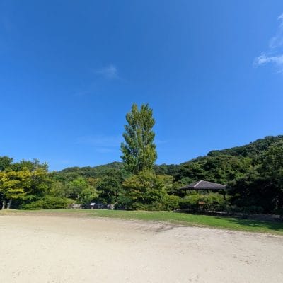 Google Pixel 9 Pro XL カメラ
Google Pixel 9 Pro XLでズーム撮影した風景写真