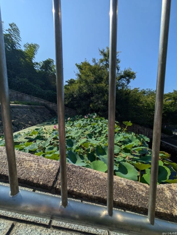 Google Pixel 9 Pro XL カメラ
Google Pixel 9 Pro XLでズーム撮影した風景写真