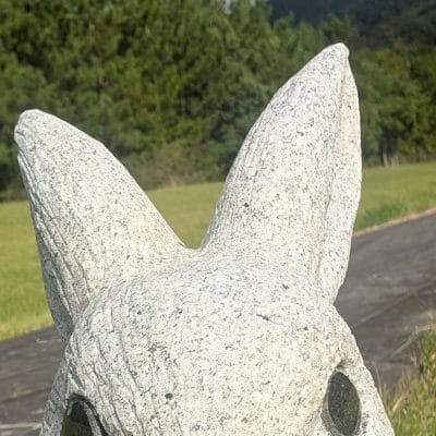 Google Pixel 9 Pro カメラ
Google Pixel 9 Pro のインカメラでズーム撮影した写真