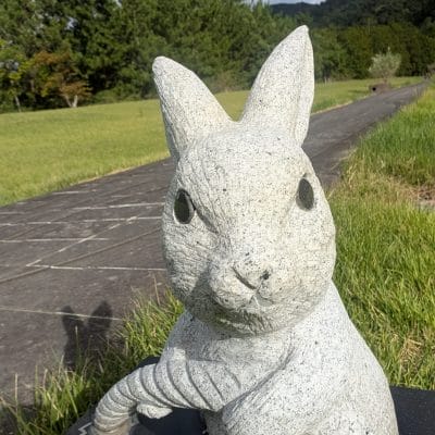 Google Pixel 9 Pro カメラ
Google Pixel 9 Pro のインカメラでズーム撮影した写真