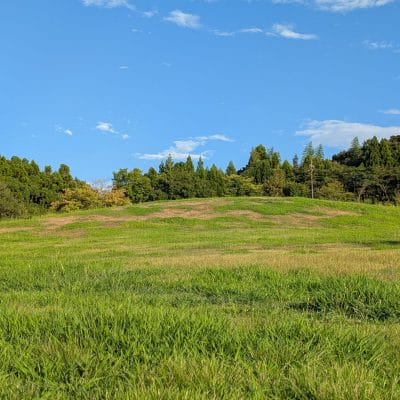 Google Pixel 9 Pro カメラ
Google Pixel 9 Pro で撮影した風景写真