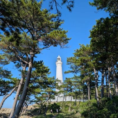 Google Pixel 9 Pro カメラ
Google Pixel 9 Pro で撮影した風景写真