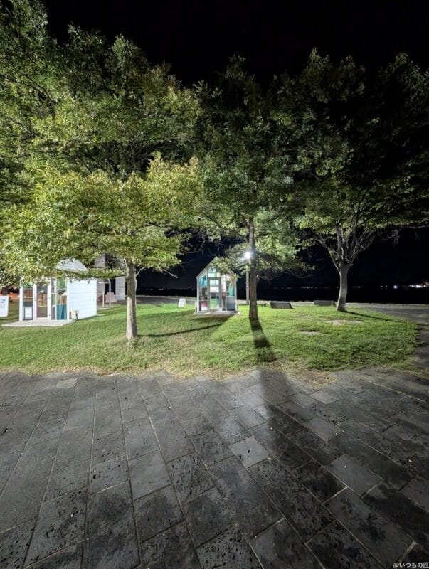 google pixel 9 pro の通常モードでズーム撮影した夜景写真 | ガジェットレビューの匠 Google Pixel 9 Pro カメラ Google Pixel 9 Pro の通常モードでズーム撮影した夜景写真