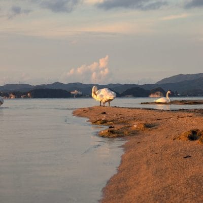 Google Pixel 9 Pro カメラ
Google Pixel 9 Pro でズーム撮影した風景写真