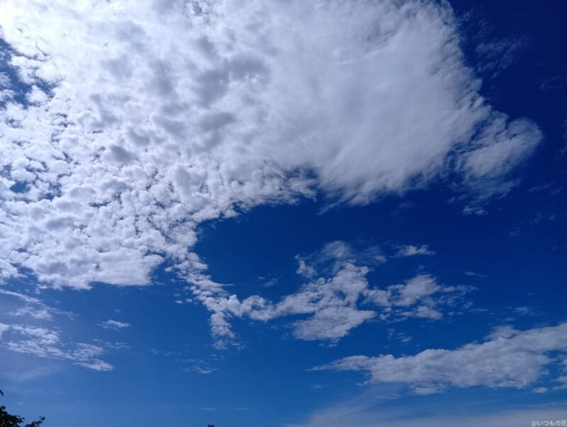 aquos wish4 で撮影した風景写真 | ガジェットレビューの匠 AQUOS wish4 カメラ AQUOS wish4 で撮影した風景写真