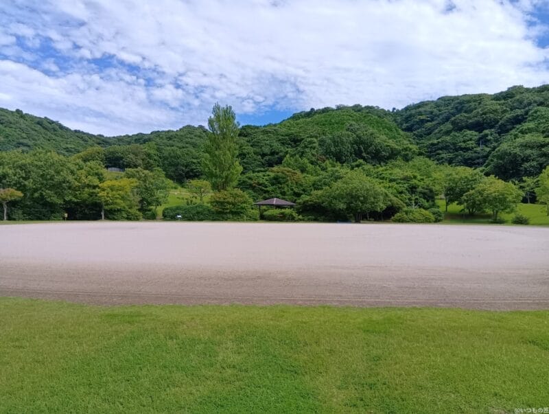 aquos wish4 で撮影した風景写真 | ガジェットレビューの匠 AQUOS wish4 カメラ AQUOS wish4 で撮影した風景写真