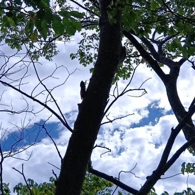 AQUOS wish4 カメラ AQUOS wish4 で撮影した風景写真