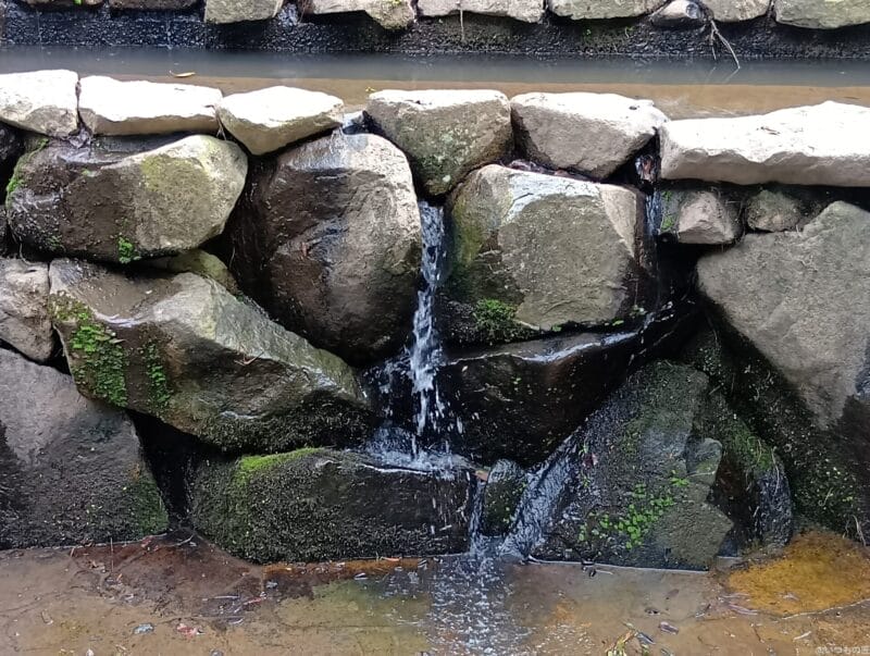 aquos wish4 で撮影した風景写真 | ガジェットレビューの匠 AQUOS wish4 カメラ AQUOS wish4 で撮影した風景写真