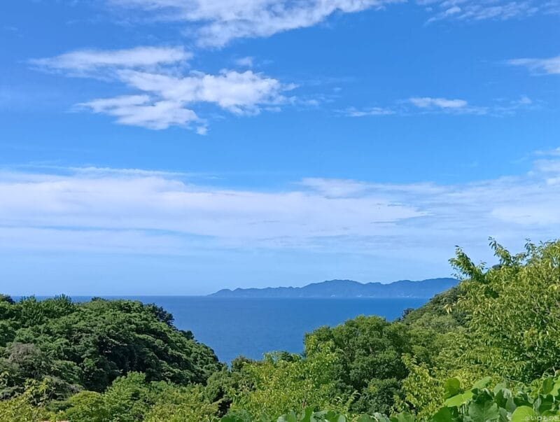 aquos wish4 で撮影した風景写真 | ガジェットレビューの匠 AQUOS wish4 カメラ AQUOS wish4 で撮影した風景写真