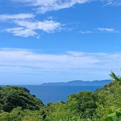 AQUOS wish4 カメラ
AQUOS wish4 で撮影した風景写真