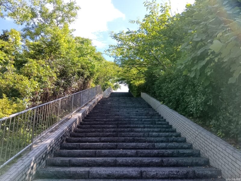 aquos wish4 で撮影した風景写真 | ガジェットレビューの匠 AQUOS wish4 カメラ AQUOS wish4 で撮影した風景写真