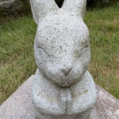 Google Pixel 9 カメラ
Google Pixel 9 のインカメラで撮影した写真