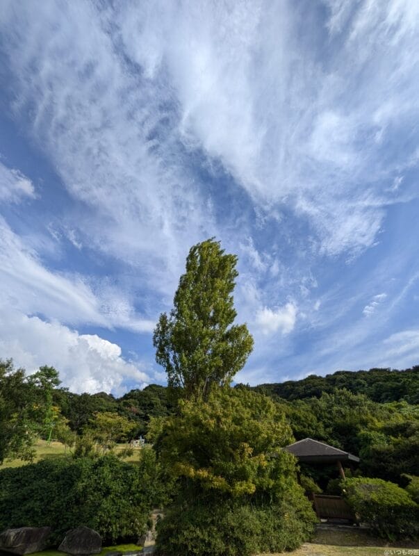 google pixel 9 で撮影した風景写真 | ガジェットレビューの匠 Google Pixel 9 カメラ Google Pixel 9 で撮影した風景写真