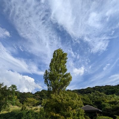Google Pixel 9 口コミ 評価
Google Pixel 9 で撮影した風景写真