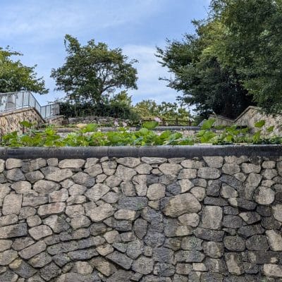 Google Pixel 9 カメラ
Google Pixel 9 でズーム撮影した風景