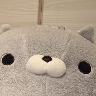 OPPO Reno11 A カメラ 
OPPO Reno11 Aのインカメラで撮影したぬいぐるみの写真